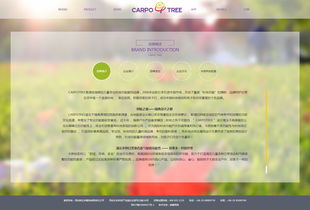 卡波樹童裝 品質與創新并舉，助力外貿銷售新高度